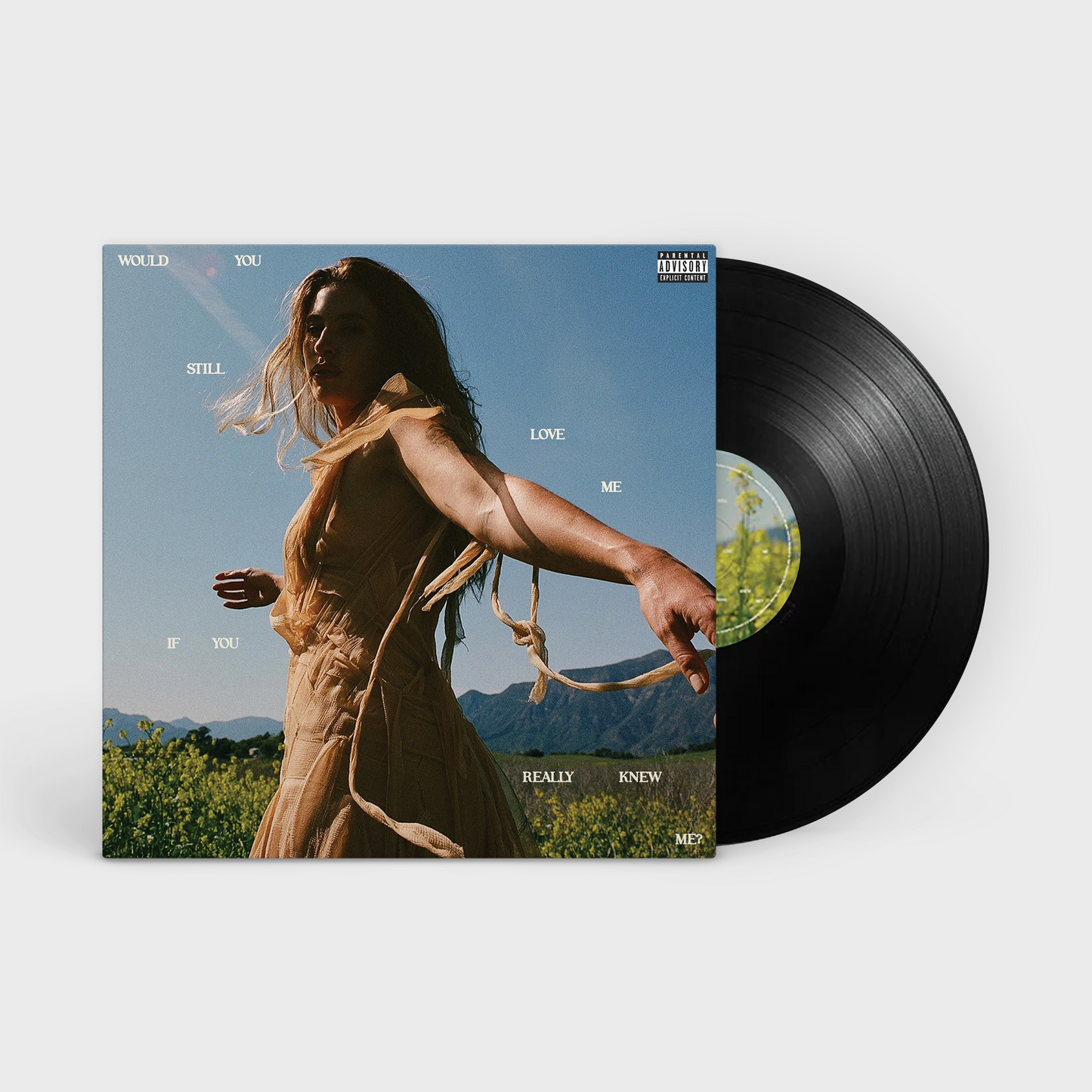 FLETCHER - Would You Still Love Me If You Really Knew Me? LP