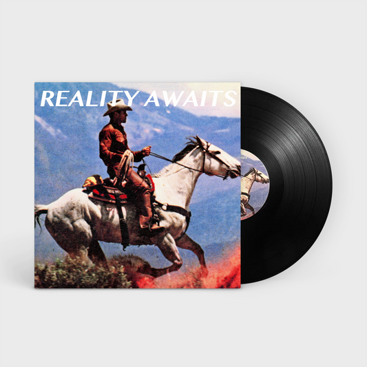 The Strokes - Reality Awaits LP