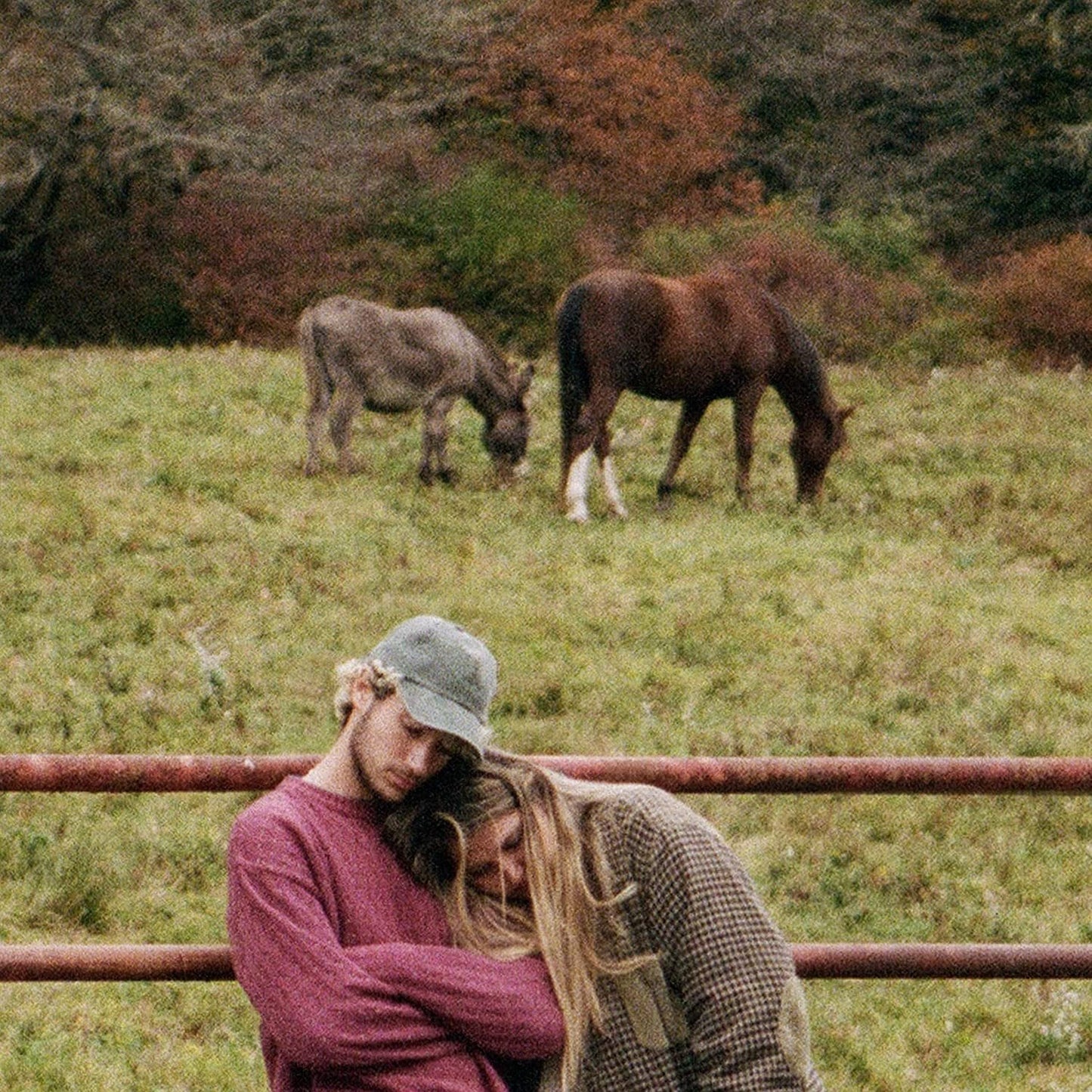 Jeremy Zucker & Chelsea Cutler - brent ii LP